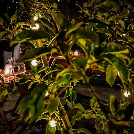 Red House Family House 3*