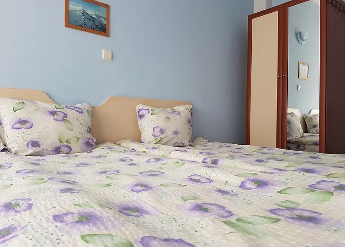 Hotel Red House Family House Bansko